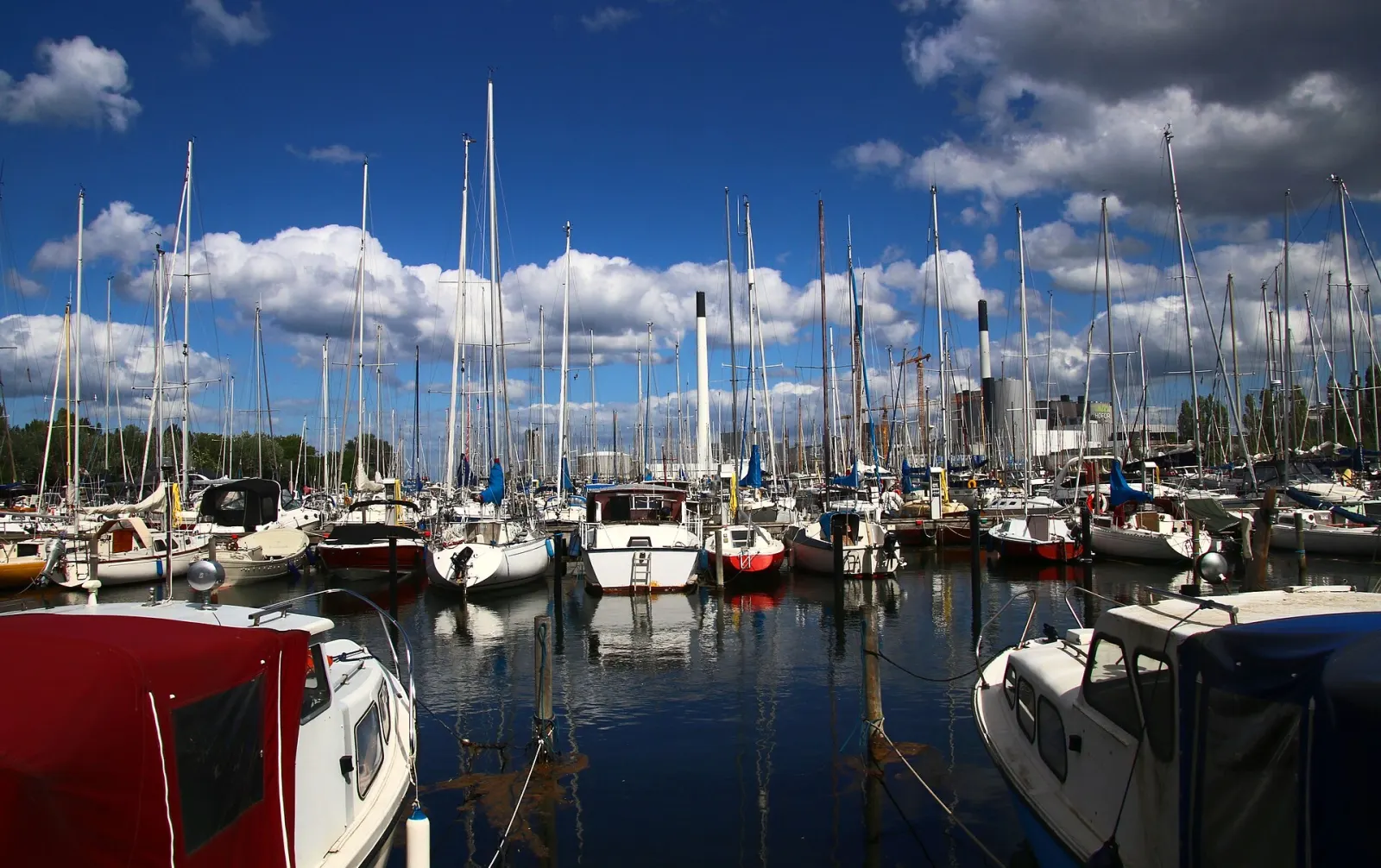 Masteskoven i Margretheholms Havn en sommerdag