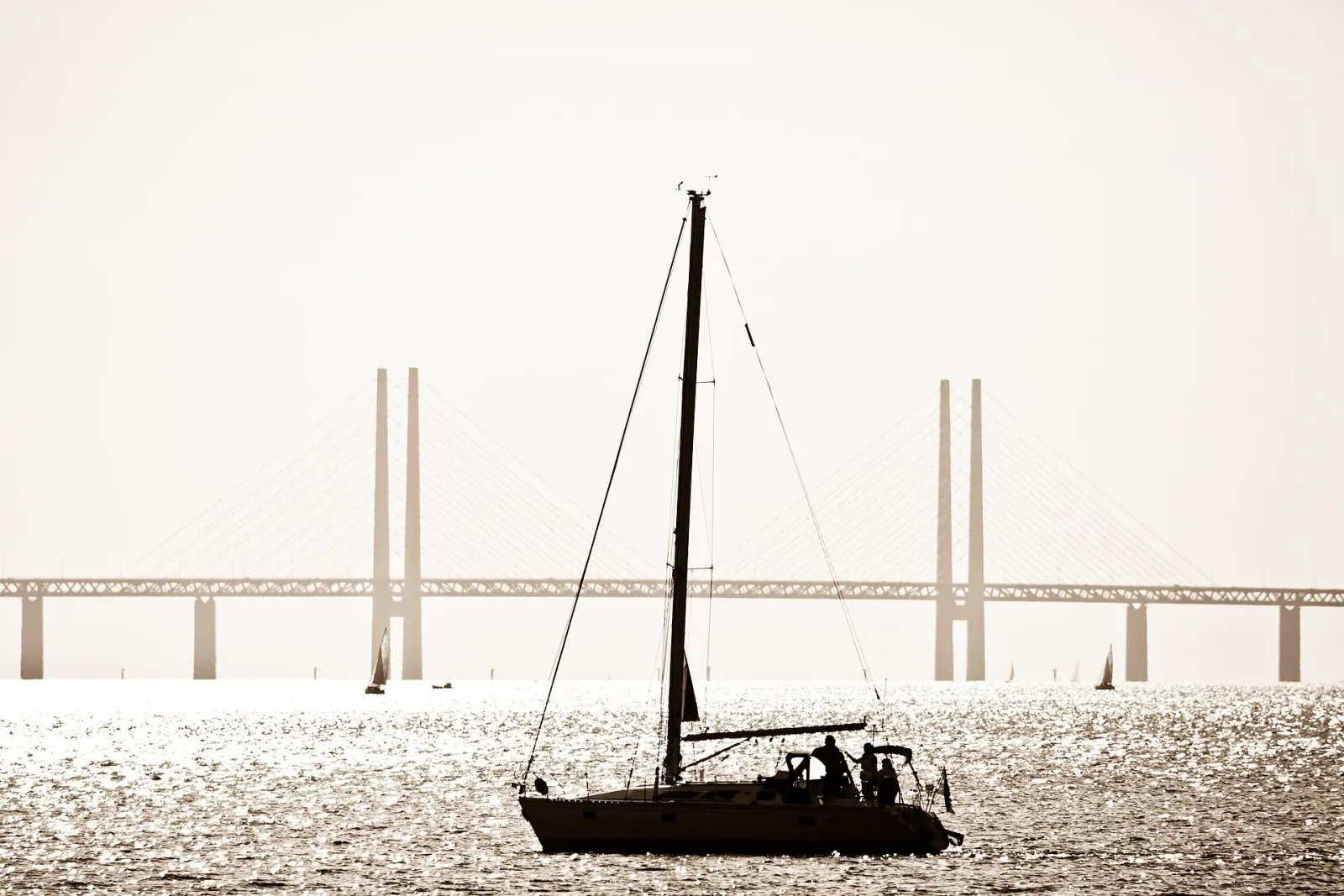 Sejlbåd i Øresund med Øresundsbroen i baggrunden